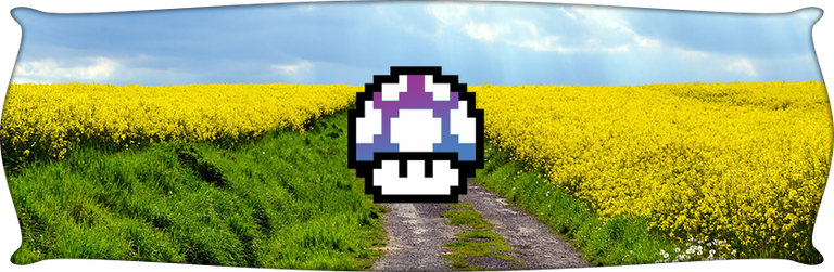 banner-trail.png