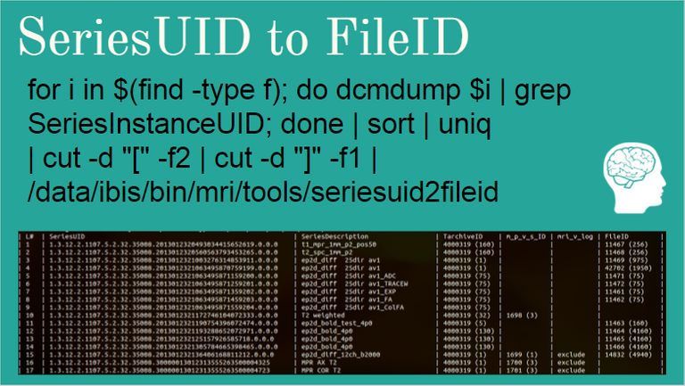 seriesuid-to-fileid.png