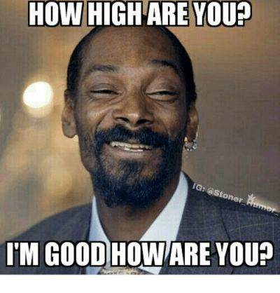 how-high-are-you-ig-stoner-aumor-im-good-howare-15103896.png