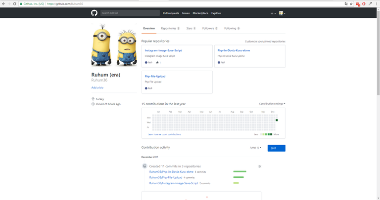 Github Profile