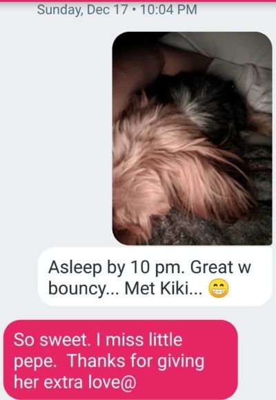 text dog 1.jpg