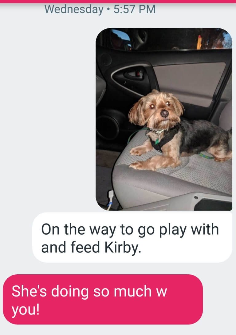 text dog 8.jpg