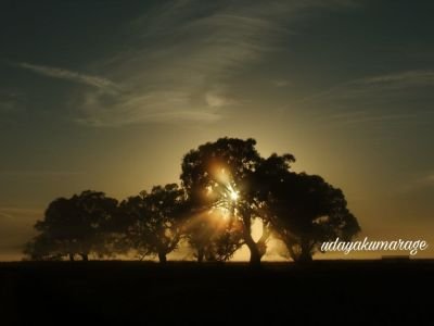 PicsArt_12-31-12.41.02.jpg