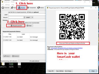11 get your wallet  address.png