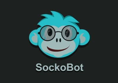 sockobot cover.jpg