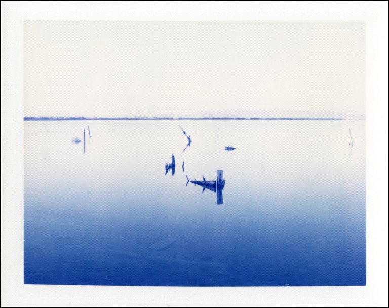 polaroid033.jpg