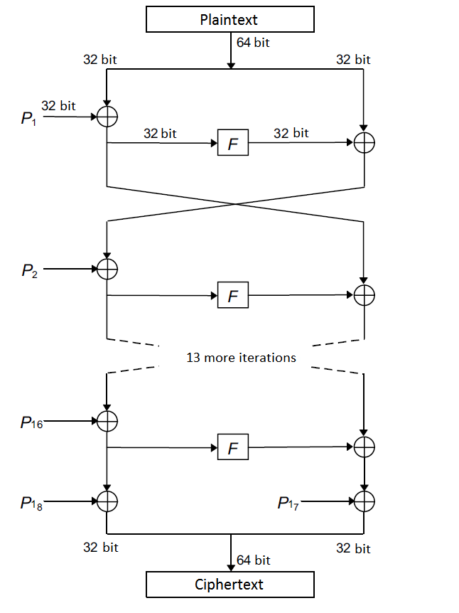 blowfishtopology.png