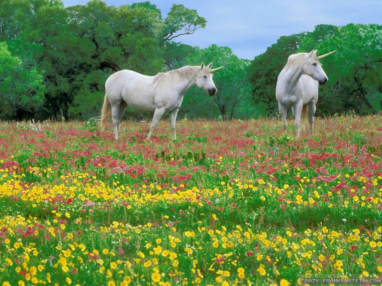 flower-meadow-7.jpg