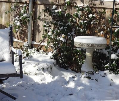 SnowBirdBath1.JPG