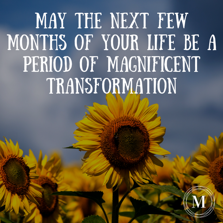 May the next few months of your life be a period of magnificent transformation.png