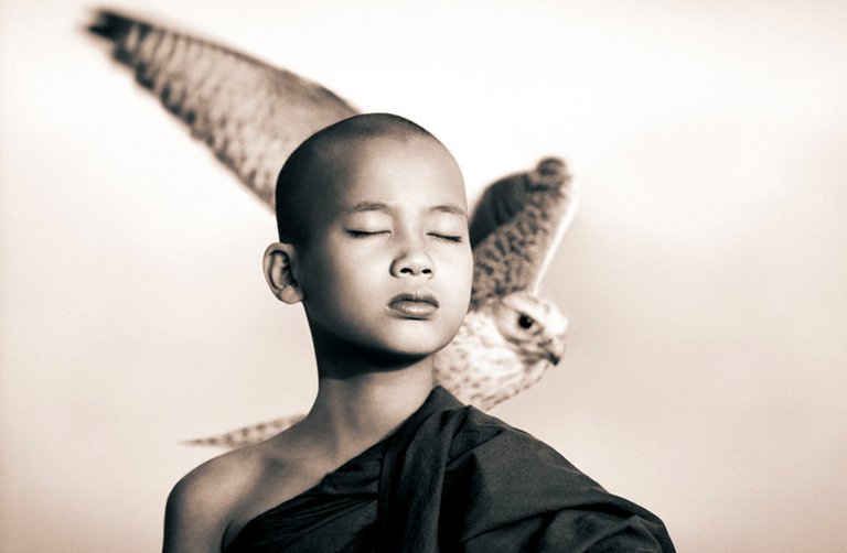 Gregory-Colbert_Web1.jpg