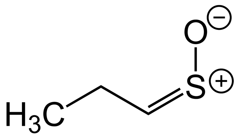 Syn-Propanethial_S-oxide_Structural_Formula_V1.svg.png