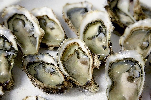 oyster-1522835_640.jpg