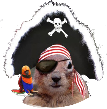 pirate squirrel.png