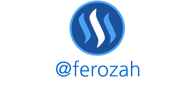 steem_with_ferozah.png