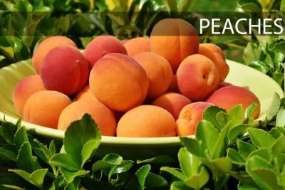 apricots-1522680_960_720.jpg