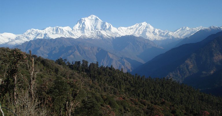 ghorepani-poon-hill-trek1496991546.jpg