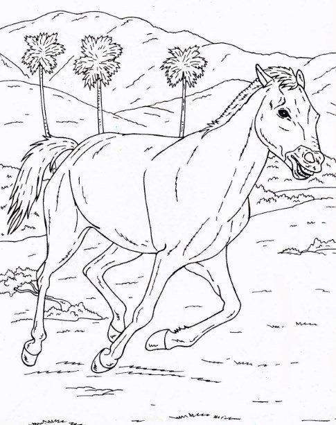 Gambar-Sketsa-Binatang-Dan-Tumbuhan.jpg