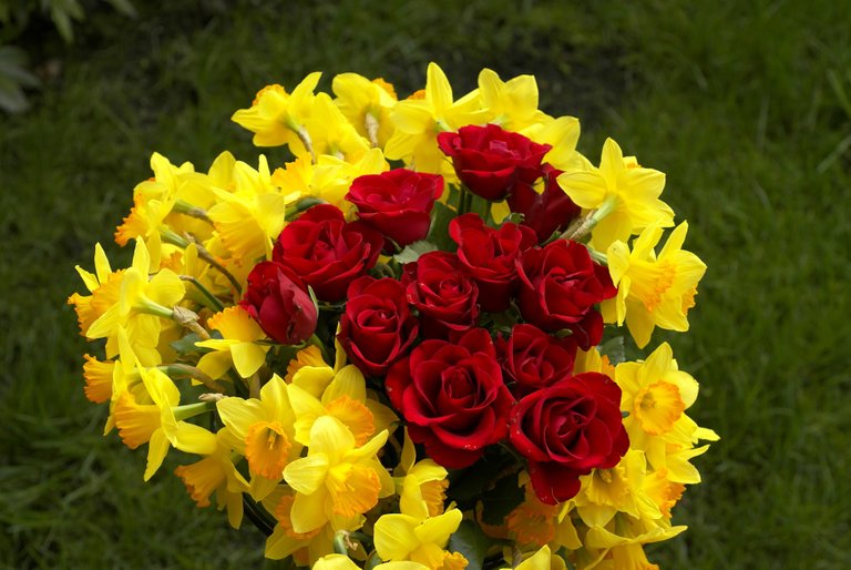 red-roses-and-narcissus-bouquet-dsc01446.jpg
