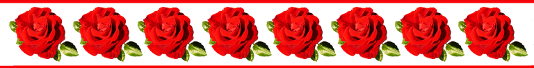 red-rose-border.png