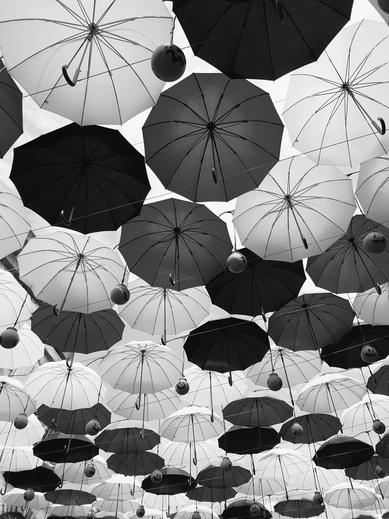 BlackandWhite2.jpg