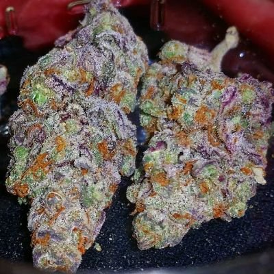 purple gorilla.jpg