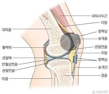 937_정의.jpg