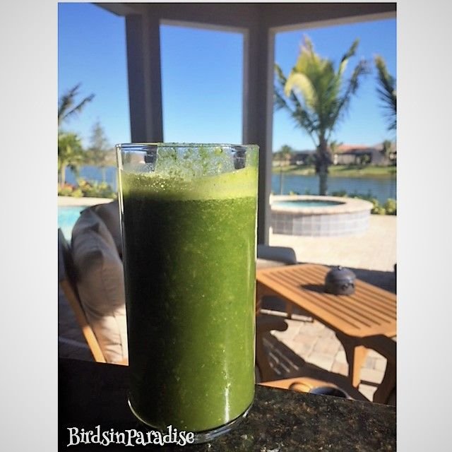 birds in paradise superhero green smoothie drink.jpg