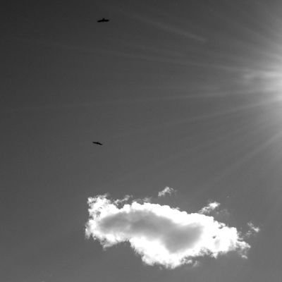 skybw-100.jpg