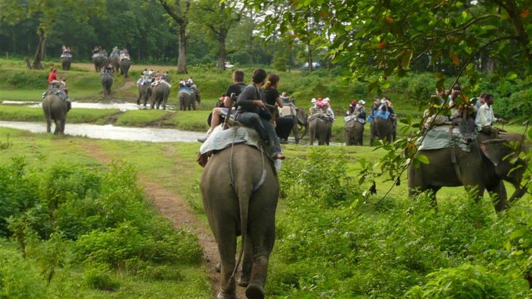 Chitwan National Park.jpg