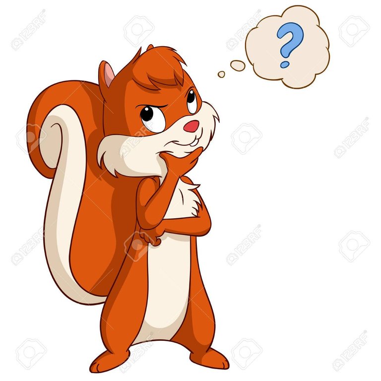 31063446-cartoon-cute-squirrel-thinking-with-question-bubble-Stock-Photo.jpg