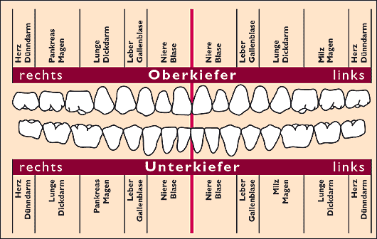 ganzheitliche-zahnheilkunde-ölziehen1.png