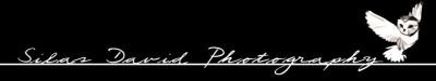 SD_photgraphy_banner.jpg