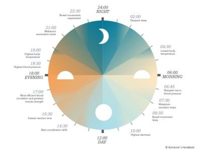 melatonin_grafik_1-1.jpg