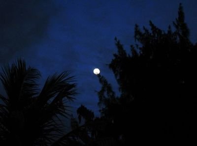 IMG_1878s.jpg