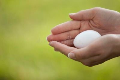 protecting-egg-24094938.jpg