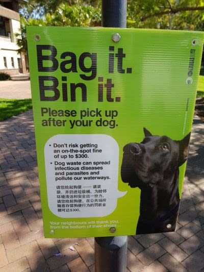 Bag it bin it pic resize 70.jpg