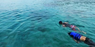 1433055iboih-Dua-orang-wisatawan-tengah-ber-snorkeling-ria-menikmati-keindahan-biota-laut-Iboih-Jumat-5-2-2016-Tulus-Muliawan780x390.jpg