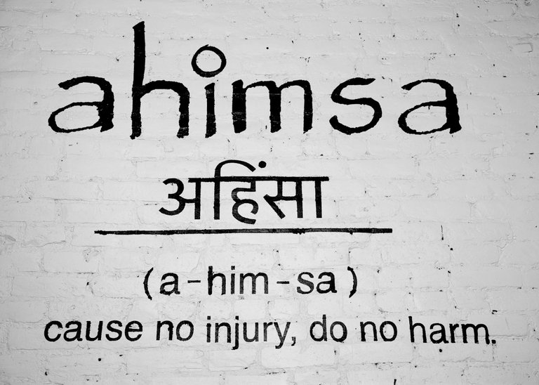 Image result for ahimsa cause no harm