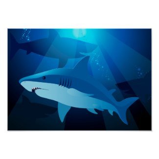 Sharks swimming poster