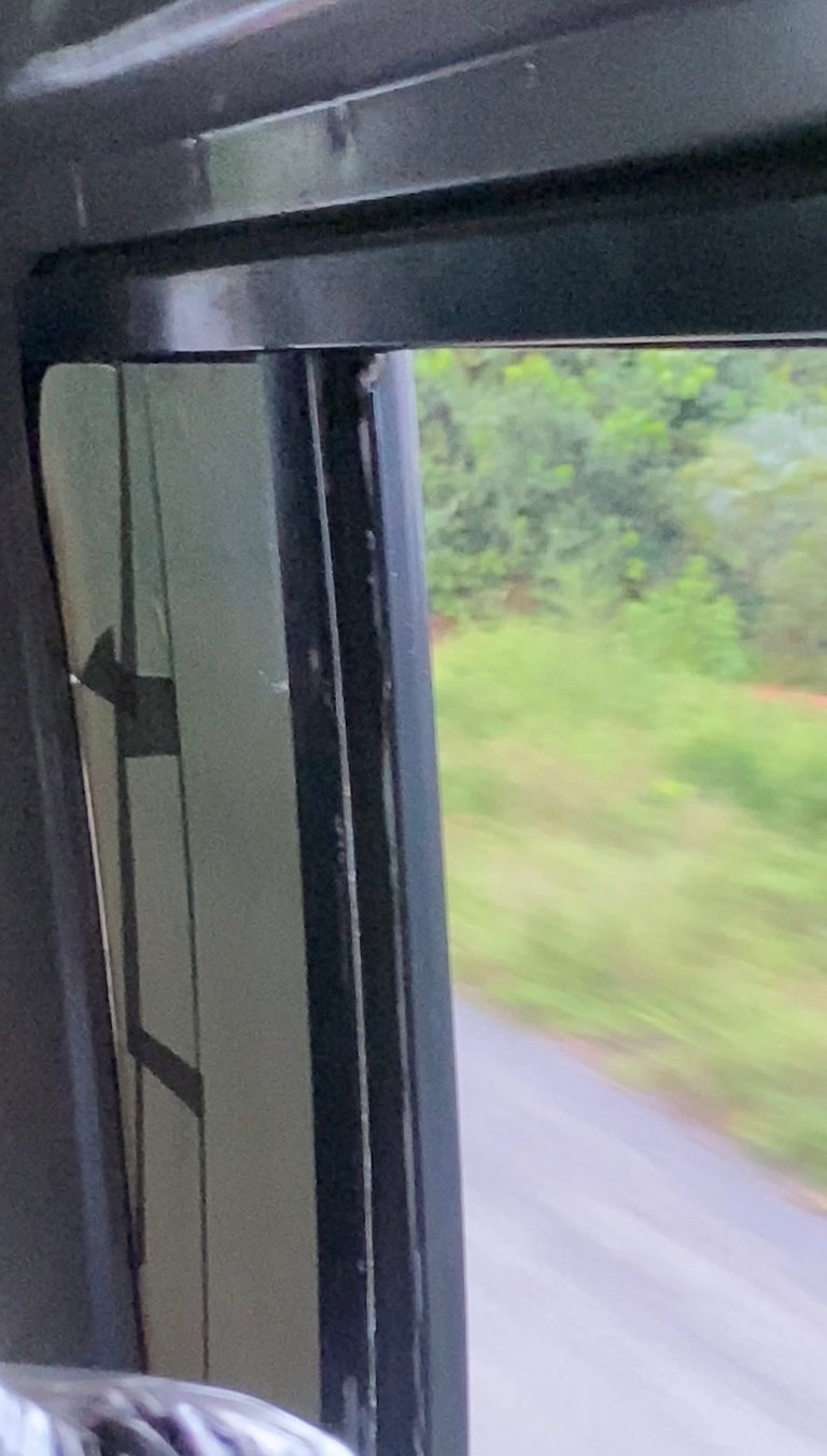 IMG_7081.jpeg