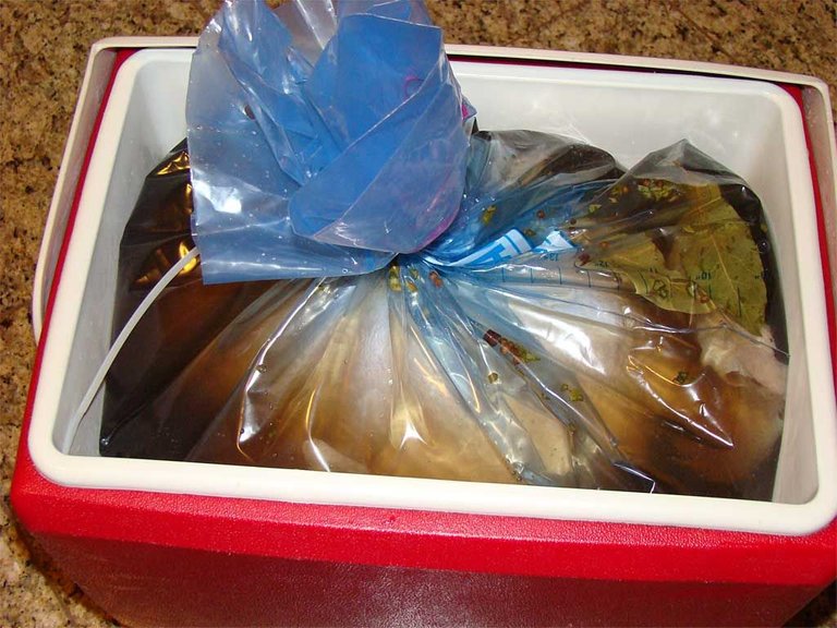 Image of Brine Turkey in Bag