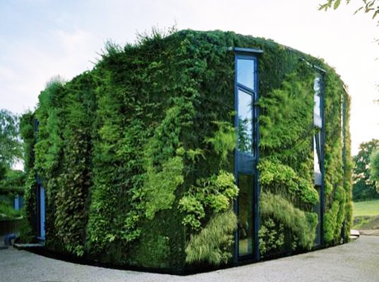 living wall gardenhouse.jpg