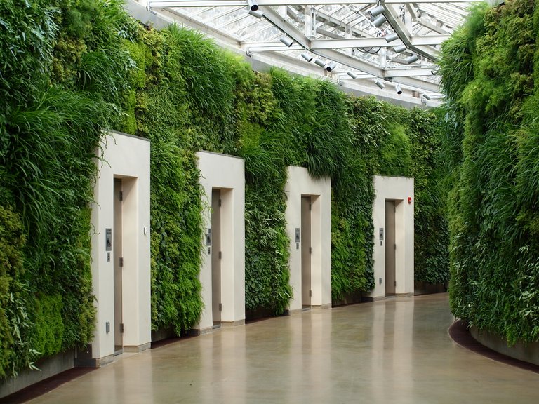 living wall rooms.jpg