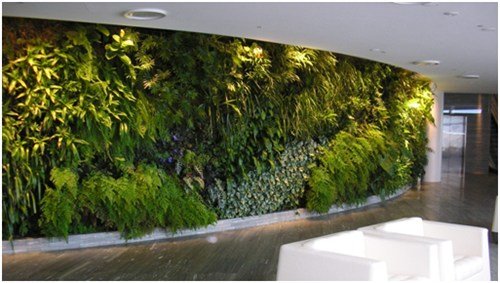 living wall indoors.jpg