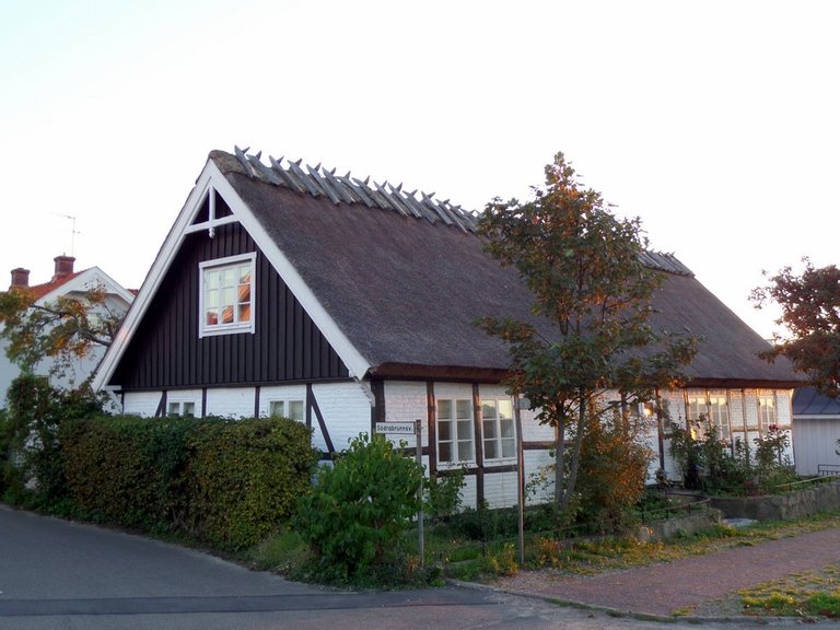 Thatched roof