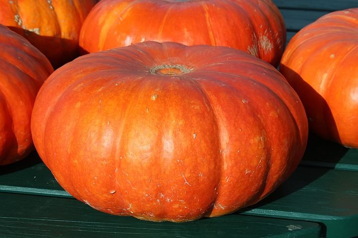 pumpkins-432607_480