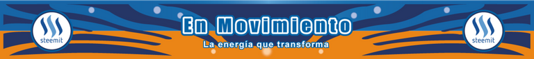 piedepagina_enmovimiento