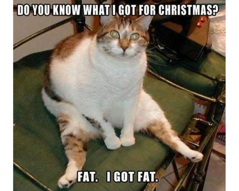 fatforchristmas.jpg