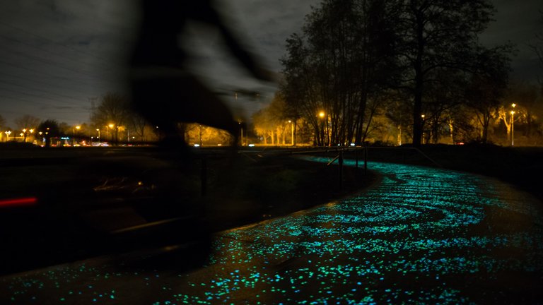 01-vangoghroosegaarde1.jpg